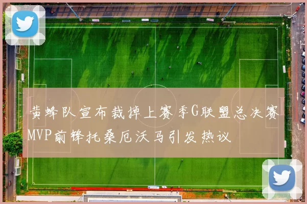 黄蜂队宣布裁掉上赛季G联盟总决赛MVP前锋托桑厄沃马引发热议